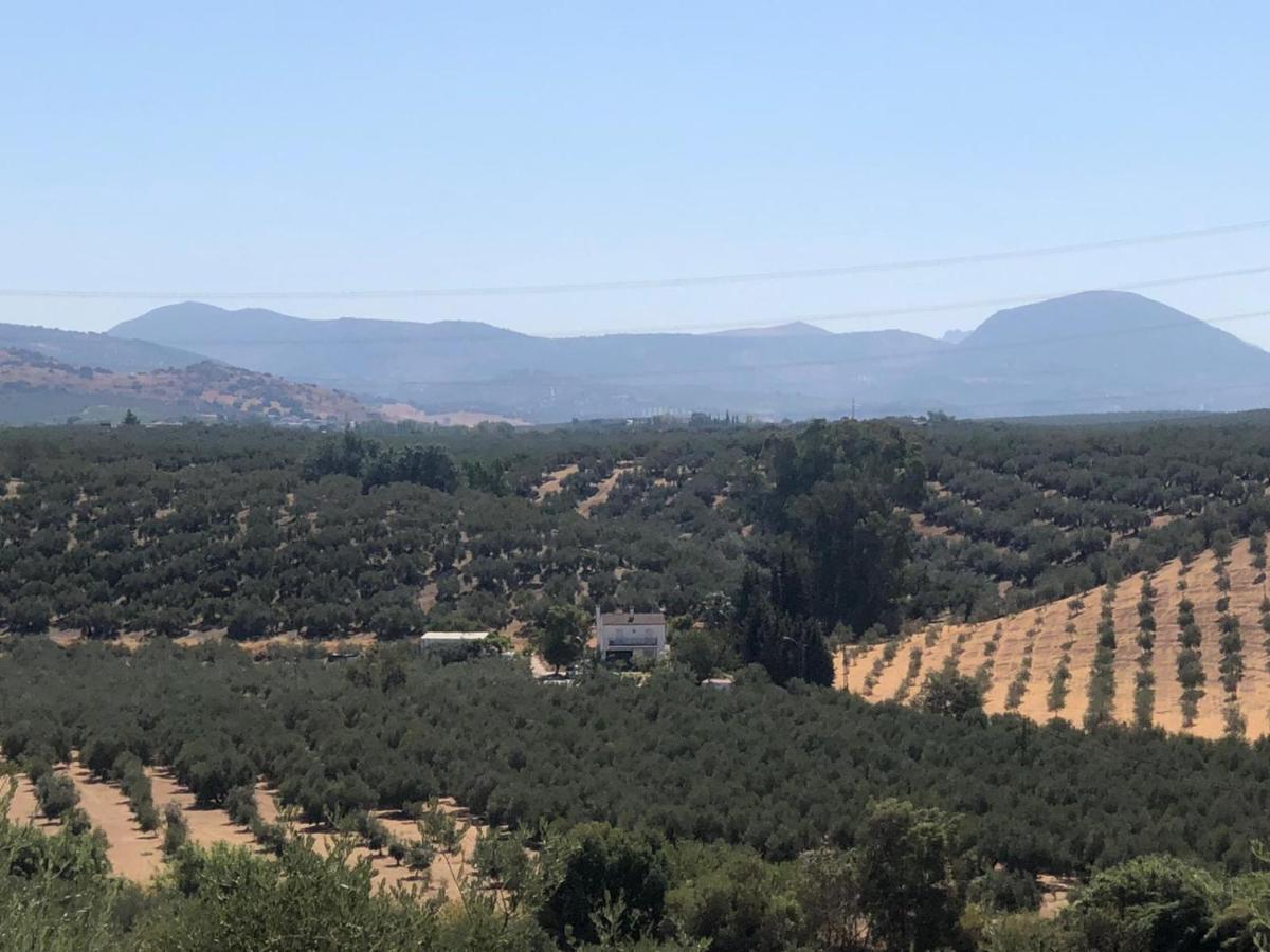 Вилла Cortijo Ribero Кабра Экстерьер фото